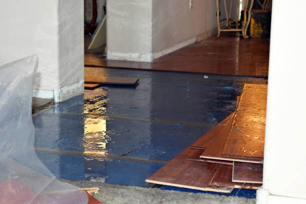 Professional Basement Flood Cleanup technician working in Pine Level, AL